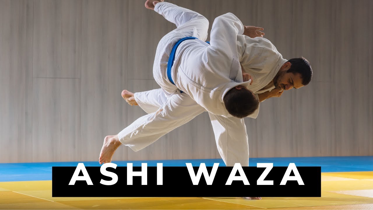 3 ท่าทุ่มยูโด Ashi Waza : Harai goshi, Uchi mata, Hane goshi