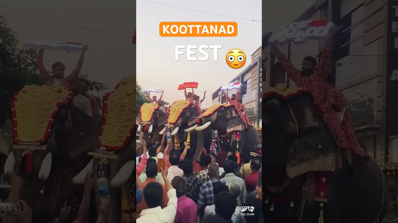 🥵Mass Elephant Entry🔥Koottanad Nercha 2025 #elephants #kerala #shorts