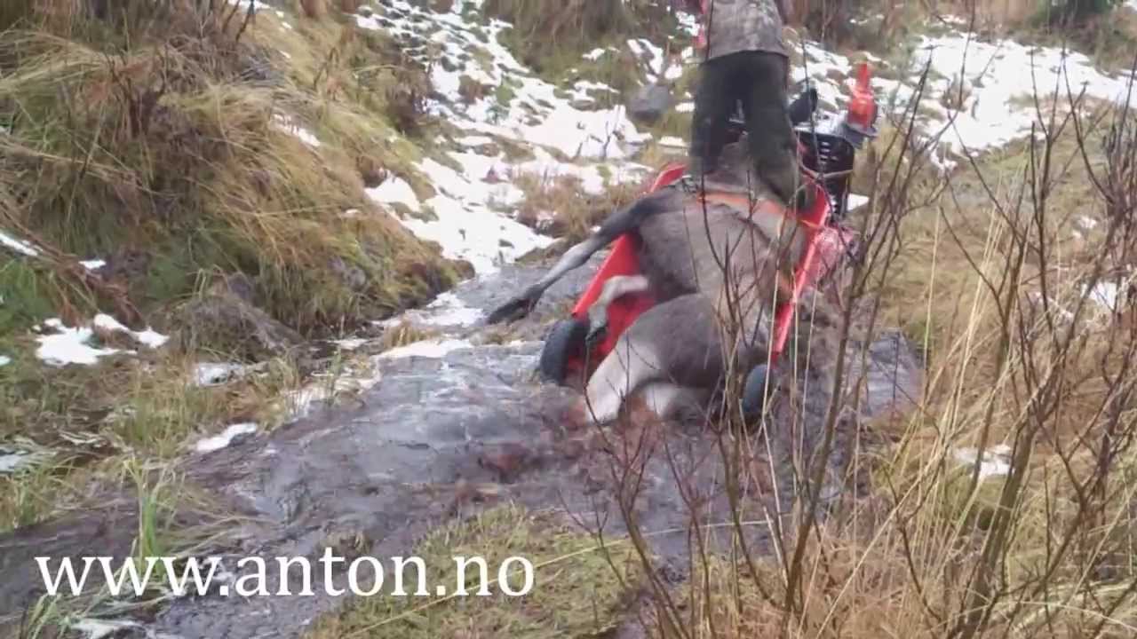 Anton jernhest demo