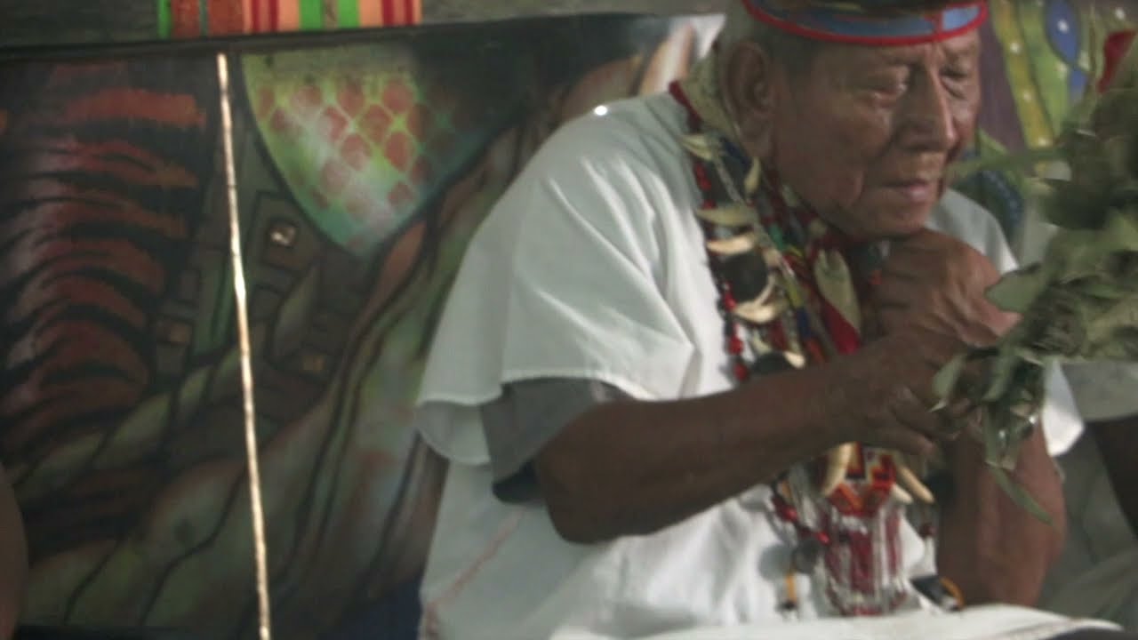 Transmisión de Saberes para el Fortalecimiento Cultural Siona en el Resguardo Buenavista