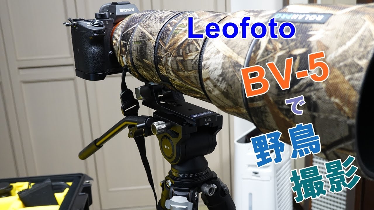 Leofoto 【 BV-5 】 2wayビデオ雲台 を購入しました