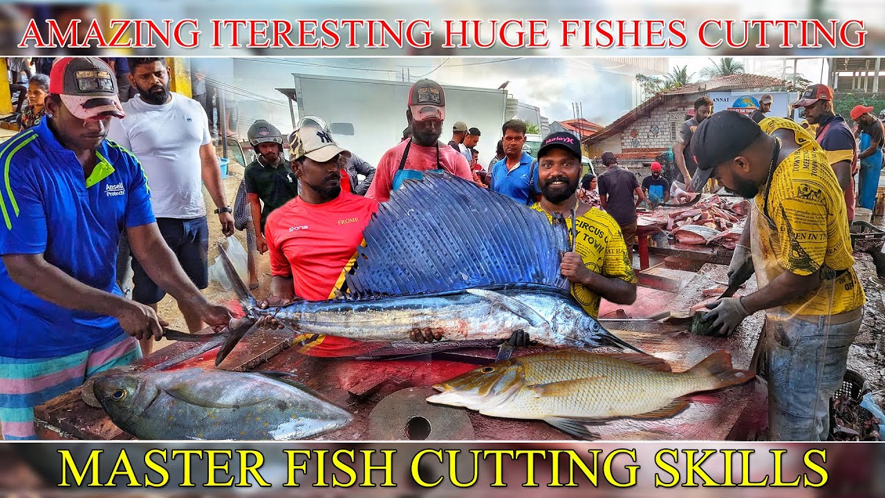 Wow Super Amazing Fish Cutting Show Live 2025