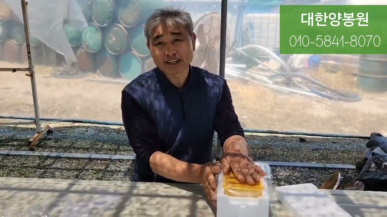 교미왕 만들기 ** 꿀팁 대방출!!**  산란왕이 준비되어있으면 언제든 든든하다 -대한양봉원,