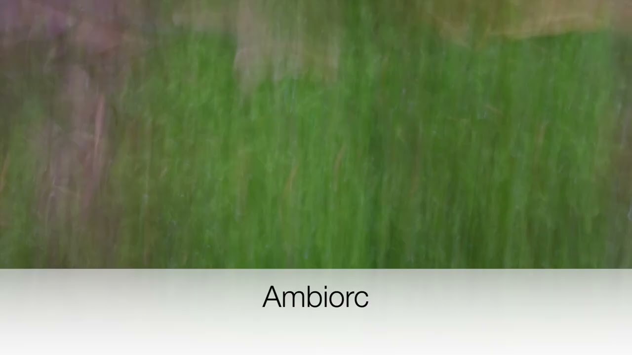 Ambiorc
