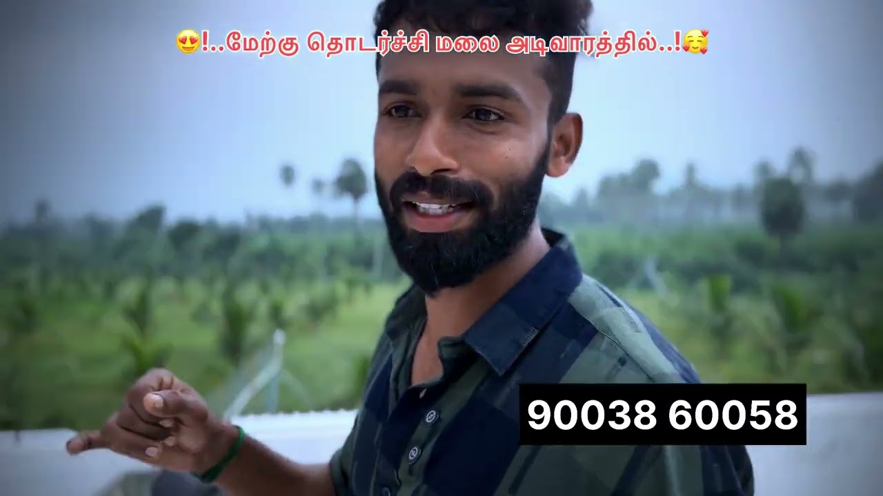 தென்காசி மாவட்டம் புளியங்குடியில் அருமையான தோப்பு விற்பனைக்கு வந்துள்ளது.. தோப்பு சுற்றிலும் 