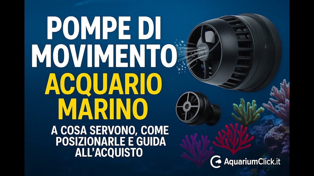 Pompe di Movimento in Acquario Marino: Quale Scegliere per il Tuo Reef?