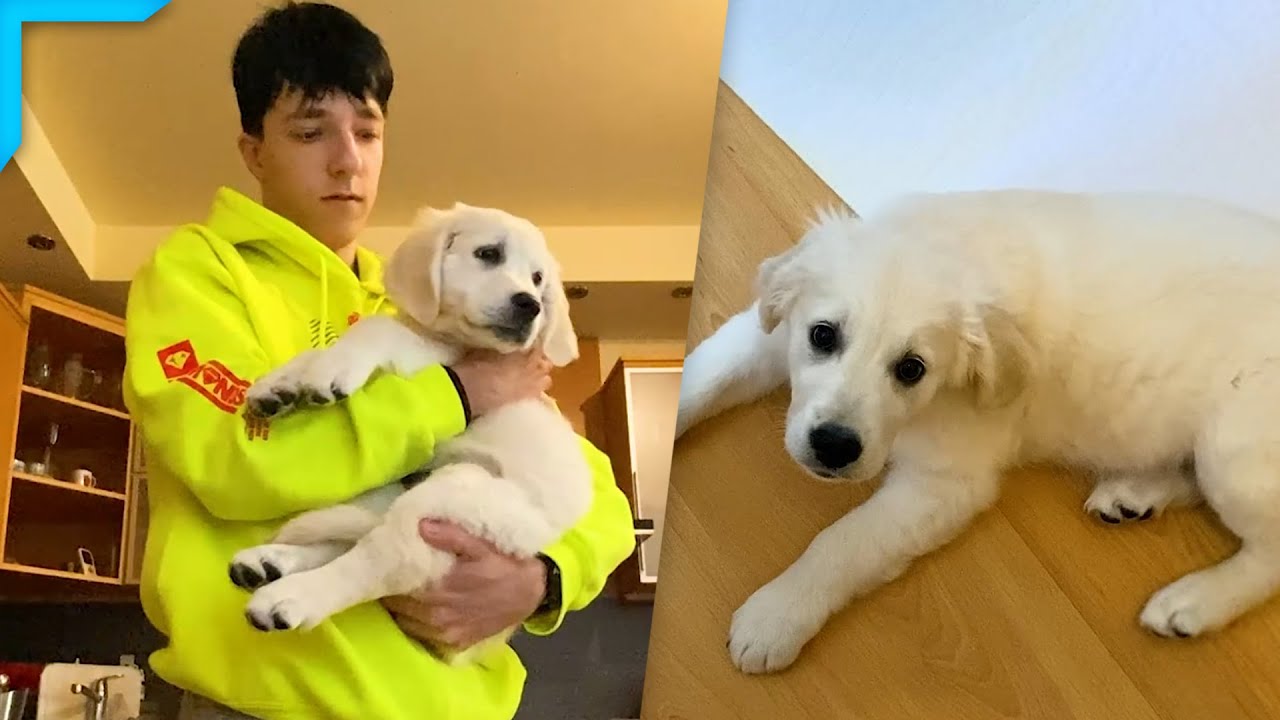 Zase Hlídám Amy! - DayVlog_600 (6.11.2021)