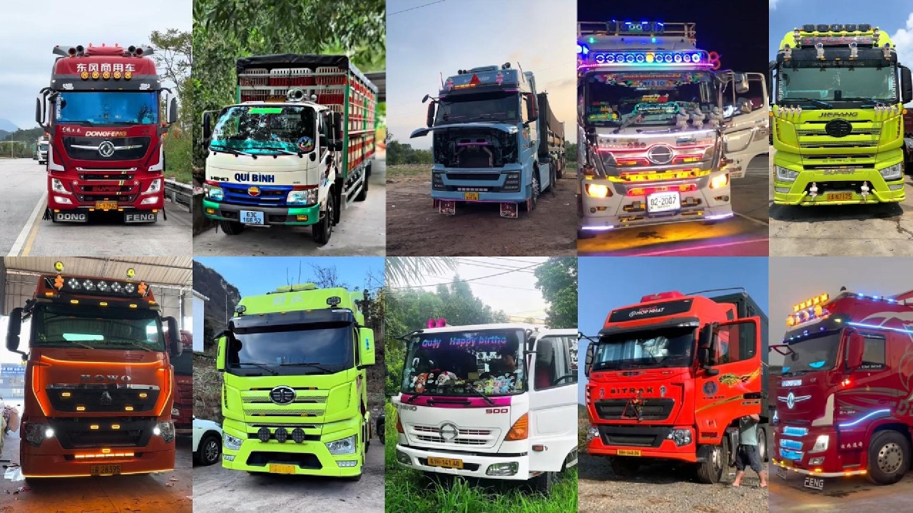 Tổng Hợp Chích Kèn Ong Vàng Kèn Thái Độ Cực Hay
