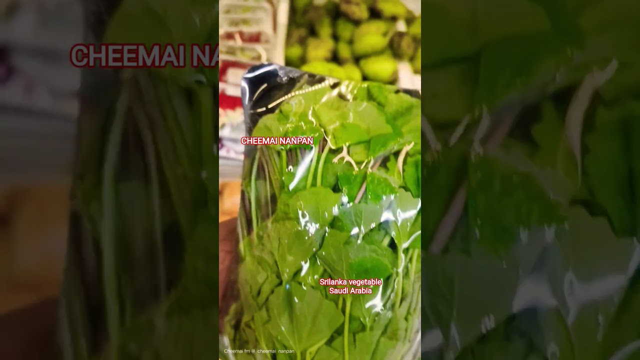 srilanka vegetable #shots #srilankantamilvlog #vairalvideo #vegetables