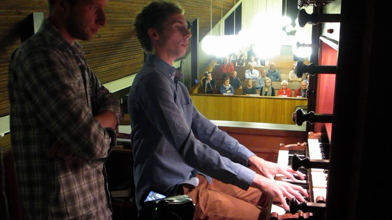 Gij zult opstaan ons beschermen - psalm 102 vers 7 - Jan Zwart