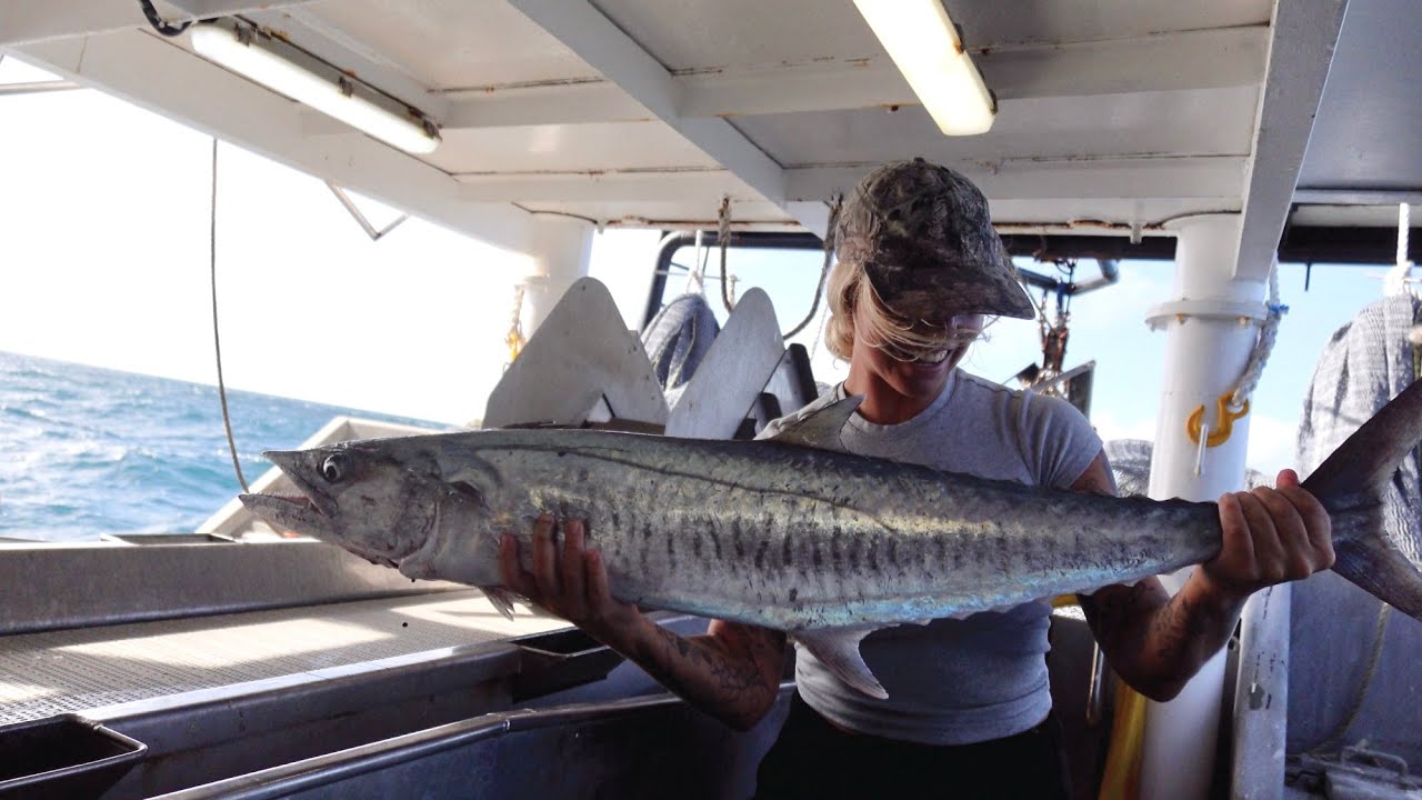 Första jobbdagarna på en fiskebåt i Australien & fångade en MONSTER FISK!!! 😱