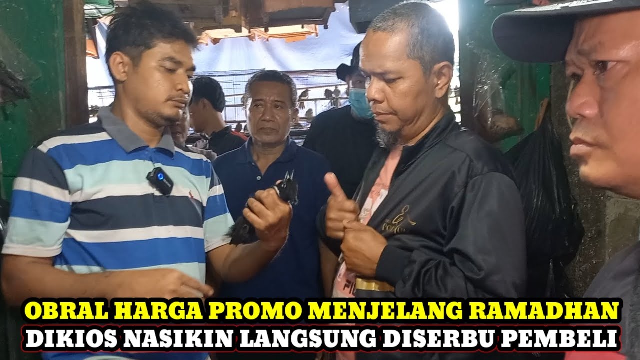 OBRAL HARGA PROMO MENJELANG RAMADHAN DIKIOS NASIKIN PASAR BURUNG PRAMUKA TERBARU HARI INI