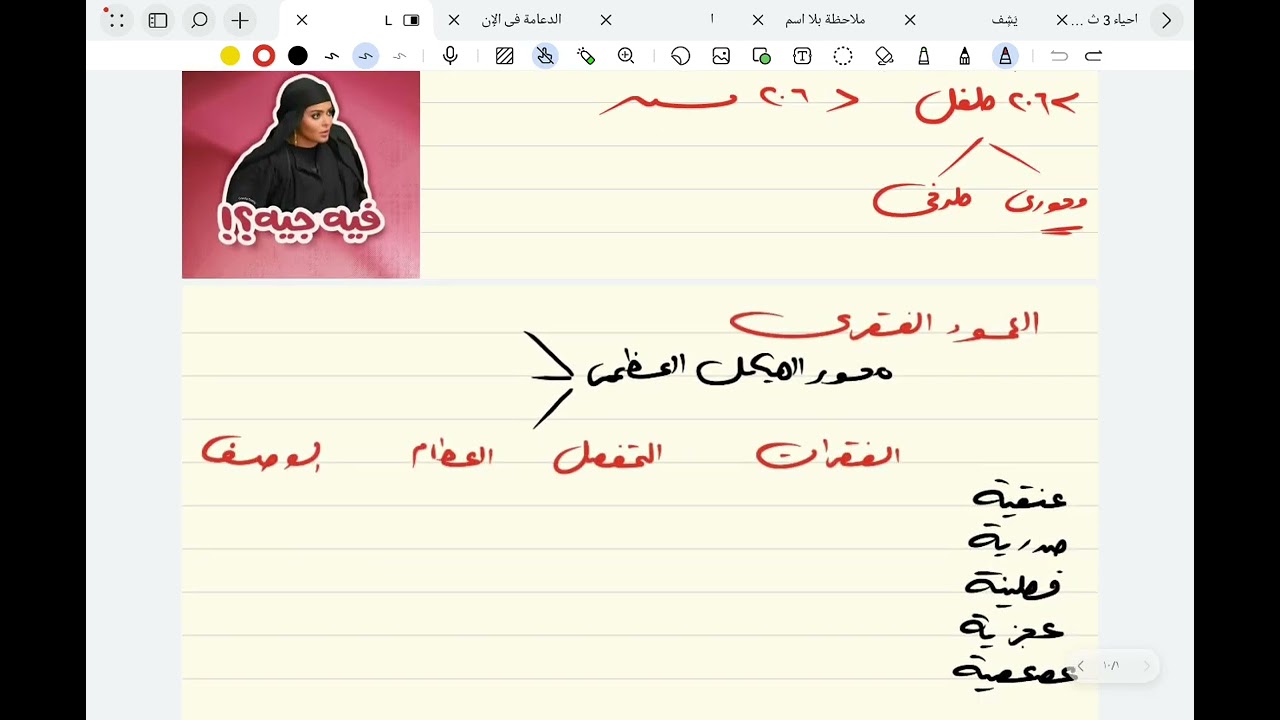الجهاز الهيكلى (العمود الفقرى)