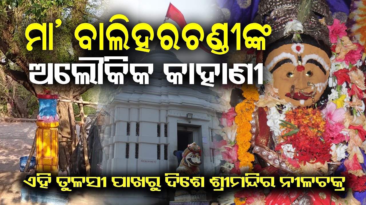 ମା' ବାଲିହରଚଣ୍ଡୀ ପୀଠ || ଏଠୁ ଦିଶେ ଶ୍ରୀମନ୍ଦିର ନୀଳଚକ୍ର || Maa BaliHarachandi Pitha || Brahmagiri || Puri