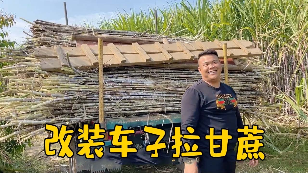 老肥和男二号忙改装车，匆匆赶去给龙哥拉甘蔗，大伙齐心把活干【农人老肥】