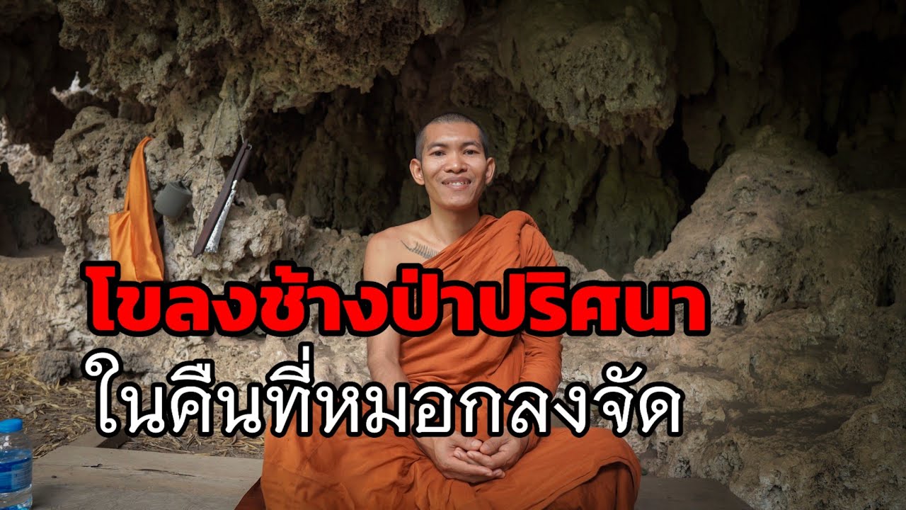 พักภาวนาที่หมู่บ้านร้าง เสียงประหลาดตกจากฟ้า เจอโขลงช้างป่าปริศนา ในคืนที่หมอกลงจัด เสียงป่าสะอื้น