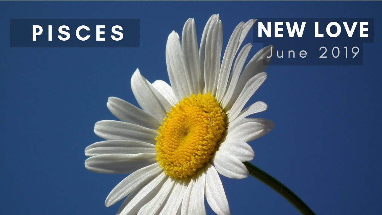 PISCES: New Love! June 2019
