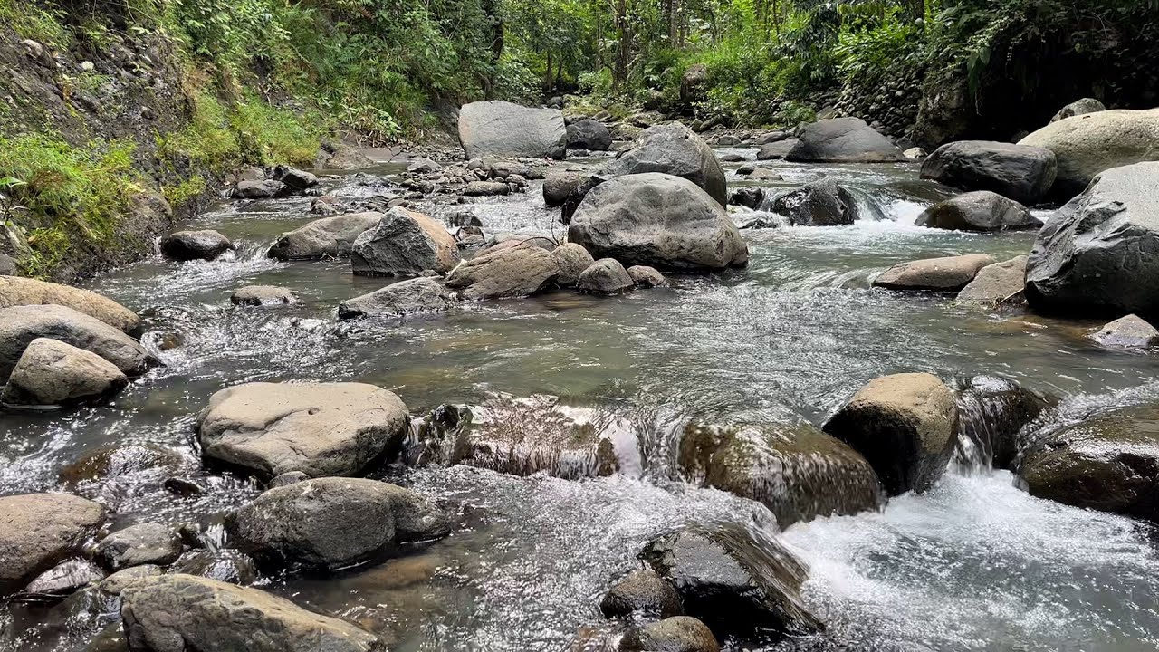 Relaxing River Sounds 🌊 Deep Sleep Nature Ambience for Stress Relief Tonight
