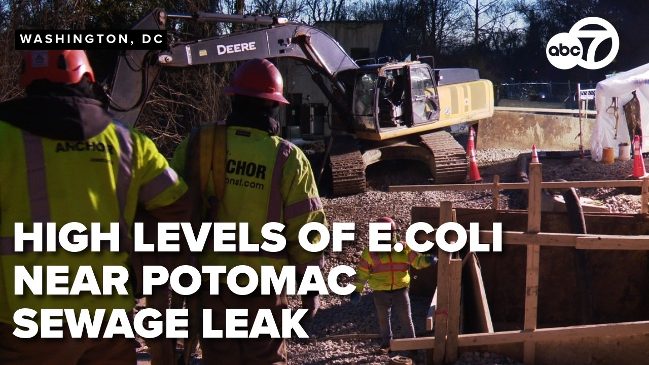 Extremely high levels of 'fecal' bacteria, more found near site of weeks-long Potomac sewage leak