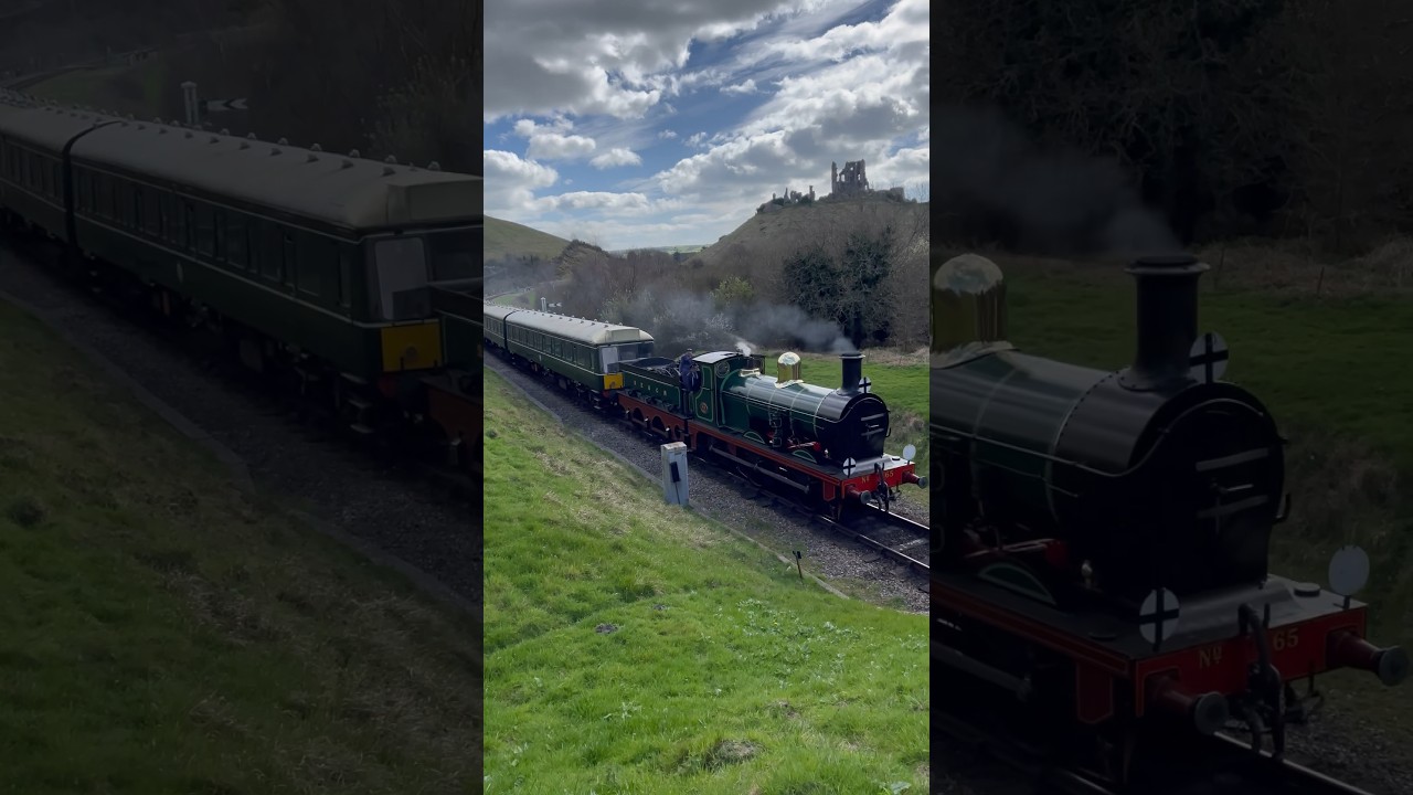 SE&CR O1 no. 65 decelerates into Norden Station 24/3/24 #trains #swanage #rail #secr #victorian #65