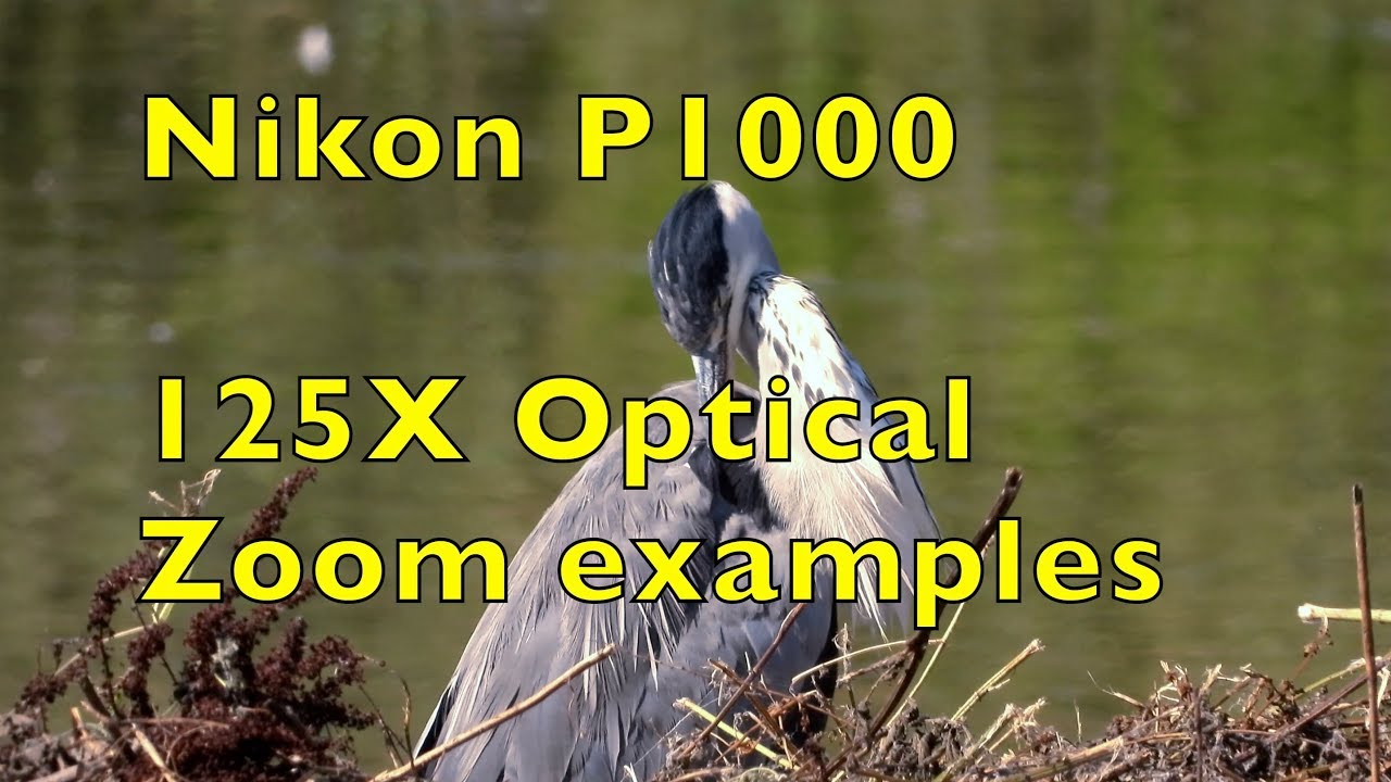 Nikon P1000 125X Optical Zoom Handheld!