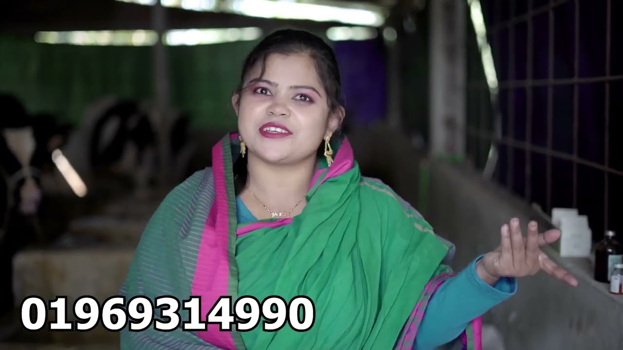 hasi apur goru ki khabar khay । হাসি আপুর গরু কি খায় ।