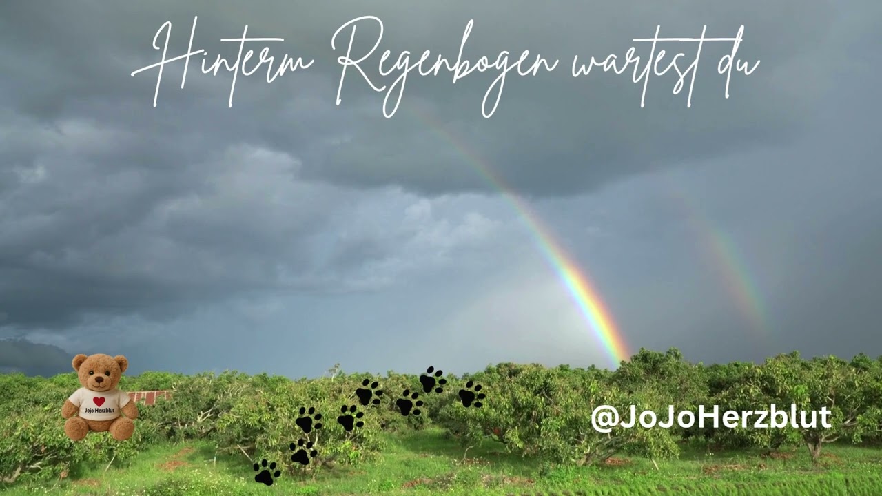 Hinterm Regenbogen wartest du  | Ein Lied für alle, die ihr geliebtes Tier verloren haben