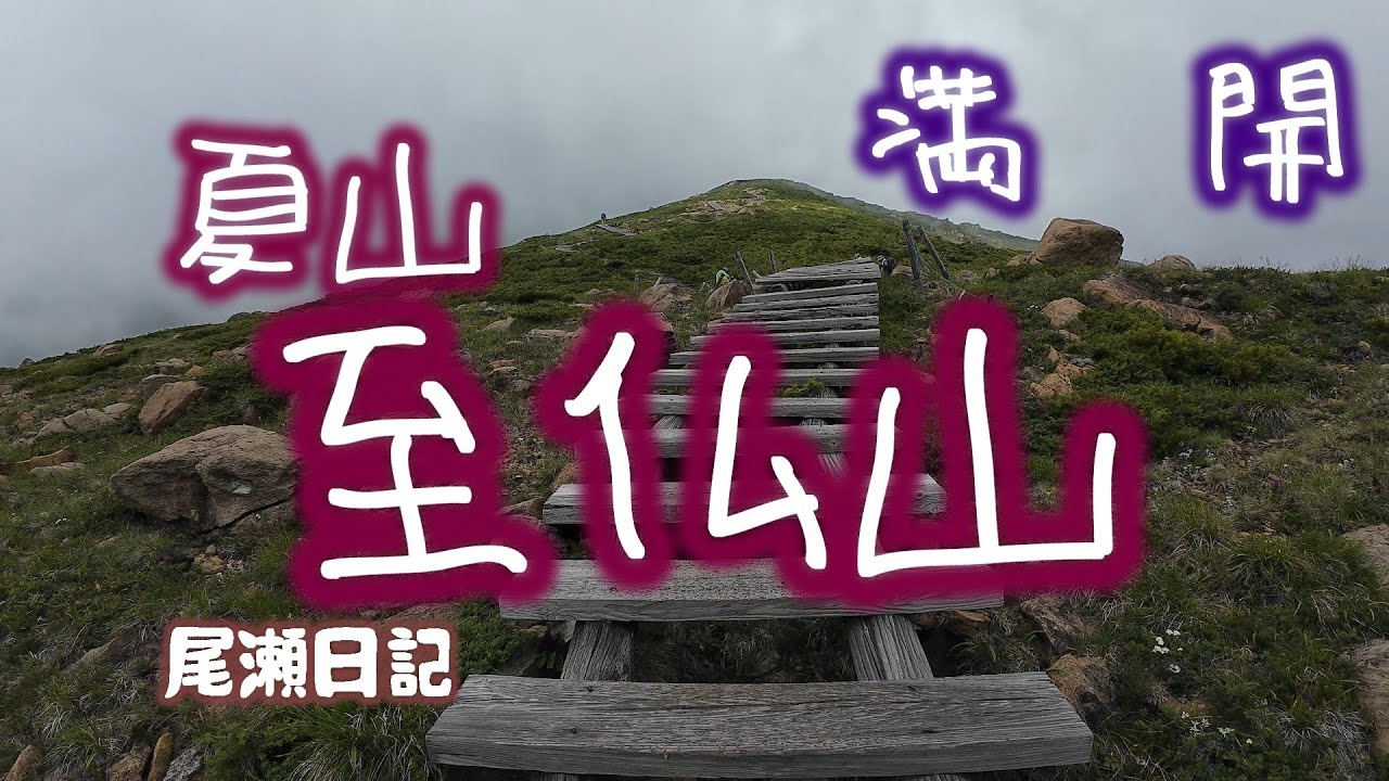 至仏山（夏山）開山！　　尾瀬日記ozediary
