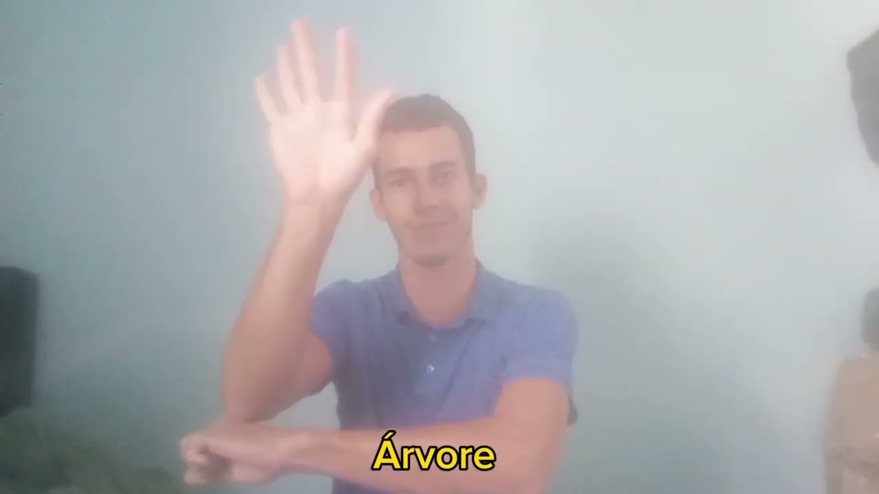 *Aprendendo alguns sinais e verbos em Libras*