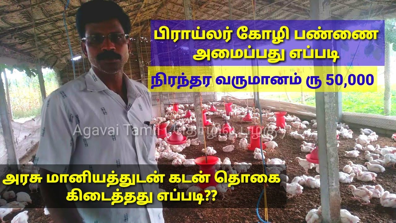 பிராய்லர் கோழி💚 வளர்த்து கொடுத்தால் போதும்|ரு 50000 நிரந்தர வருமானம்..