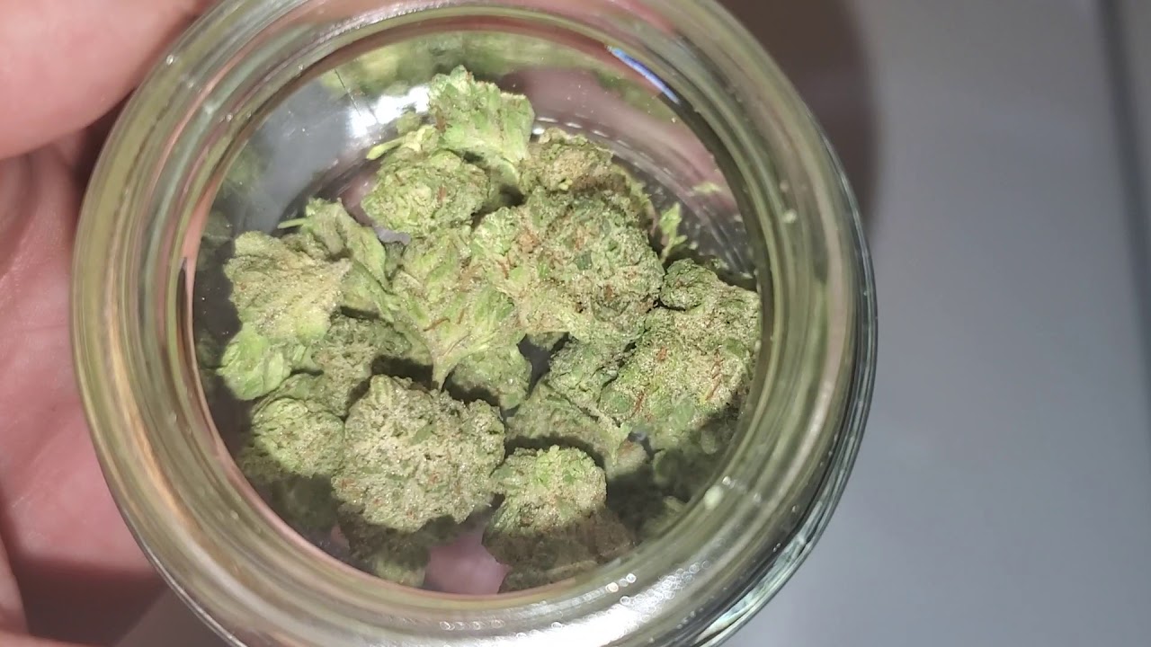 36% Thc Motorbreath flower