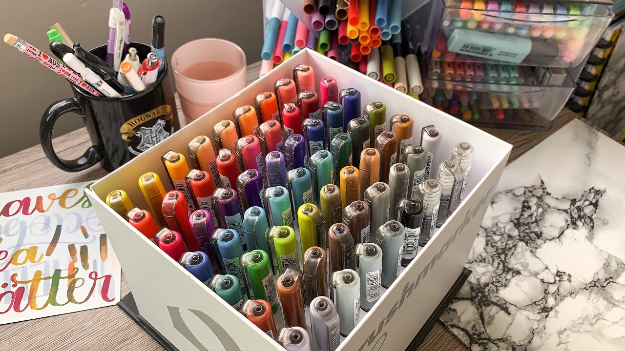 ¿Valen La Pena? Karin Brushmarker Pro un año después