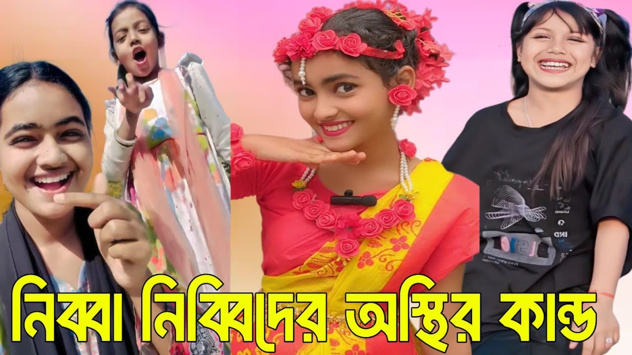 নিব্বা নিব্বিদের অস্থির কর্মকাণ্ড 🤪 The viral roster 