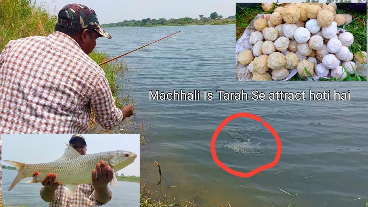 Machli Pakadne Ka Aasan Tarika | Fish Hunting Technique | Fish Catching Videos | Fishing Vlogger