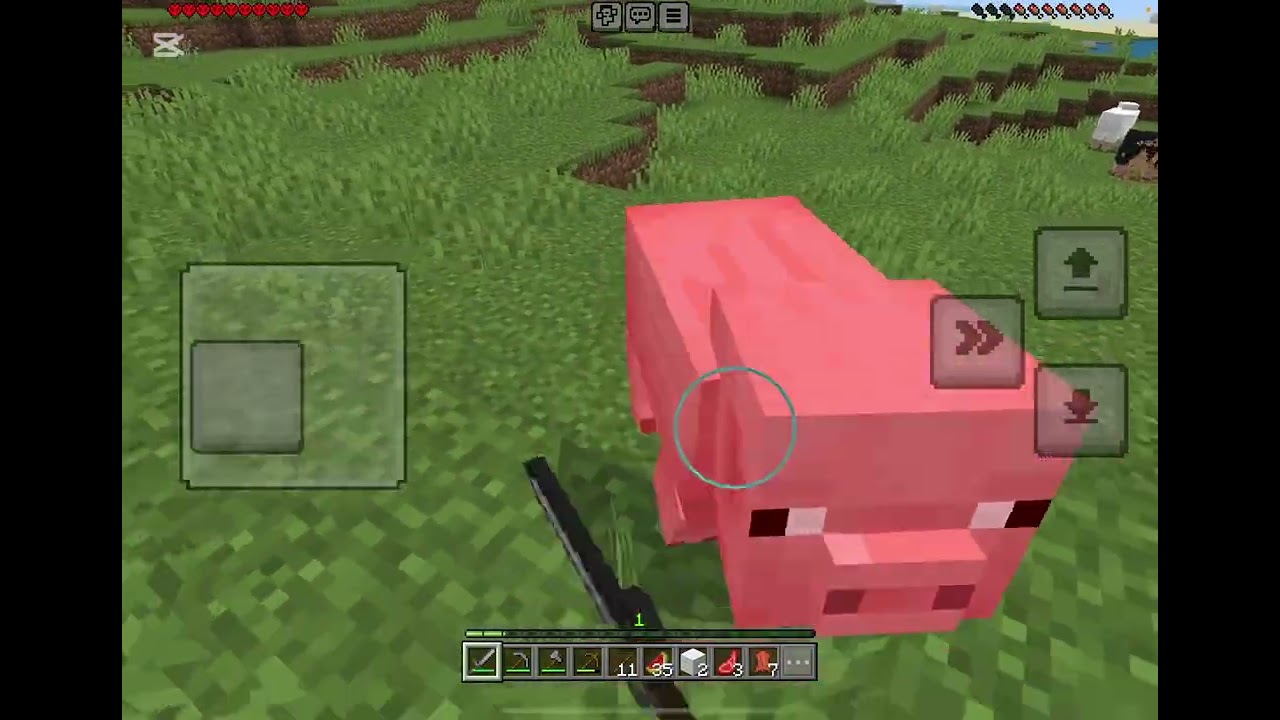 Playing Minecraft on a HARDCORE World