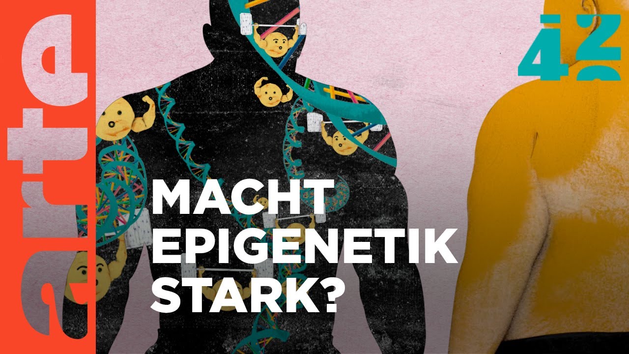 Können wir unsere Gene austricksen? | 42 - Die Antwort auf fast alles | ARTE