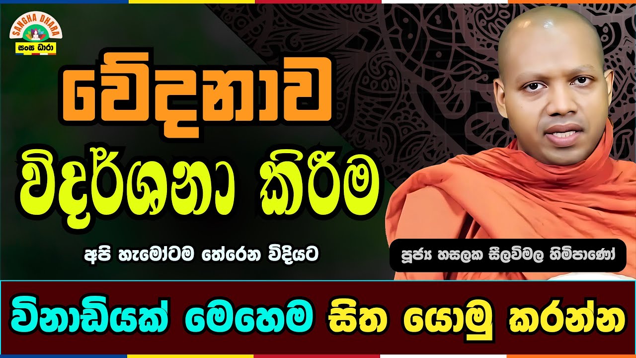 විඳින කෙනෙක් නැති වේදනාව | Hasalaka seelavimala thero | හසලක සීලවිමල හිමි | #බණ #ධර්මදේශනා