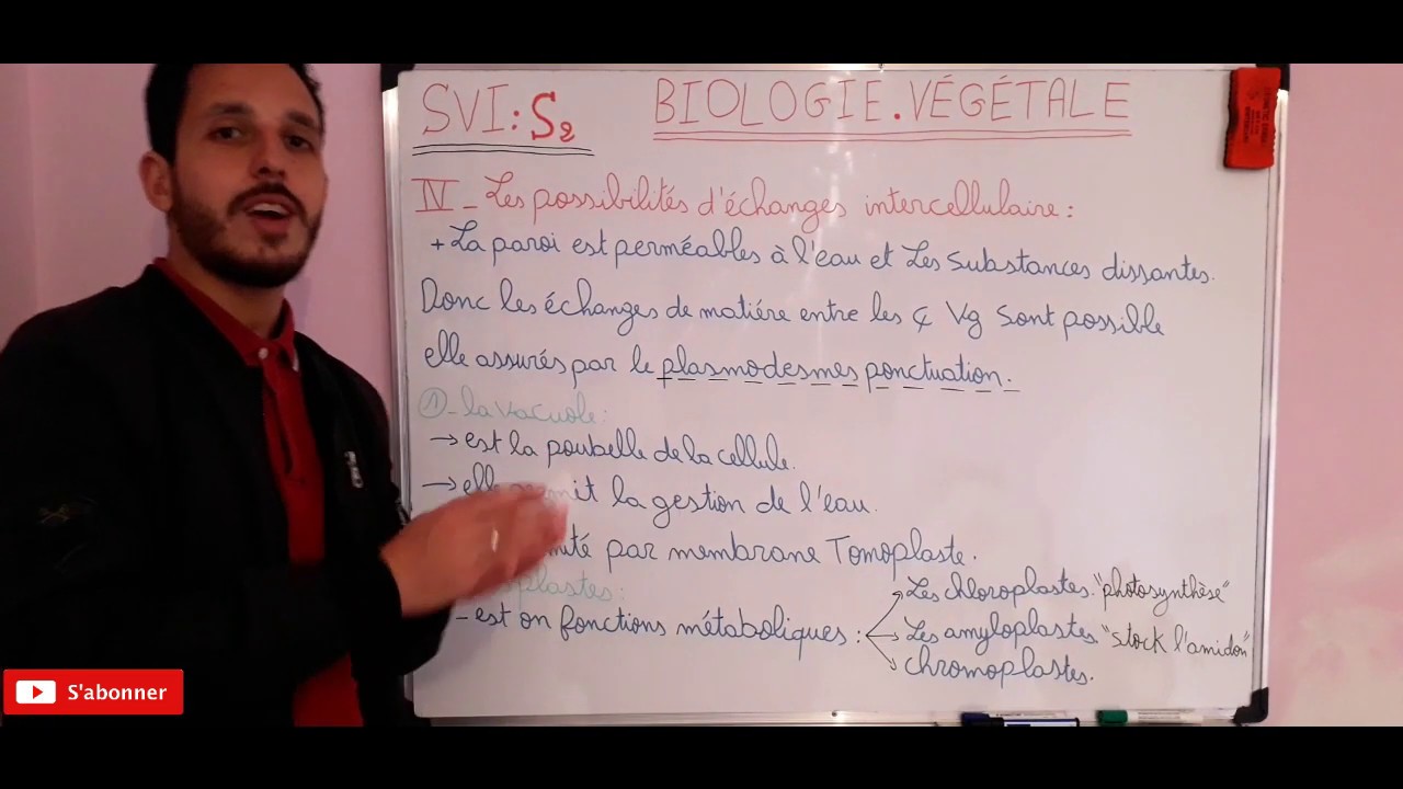 COURS 2 : BIOLOGIE VÉGÉTALE=les Cormophytes très important شرح مبسط و يضم معلومات مهمة لهذه الفقرة