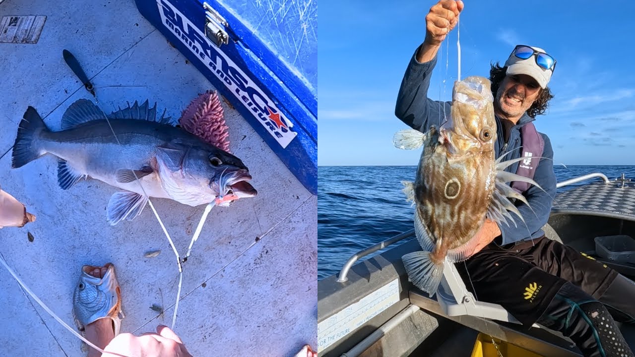 DEEP SEA FISHING WEST COAST - Groper/John dory/Snapper/Gurnard + Coastguard called