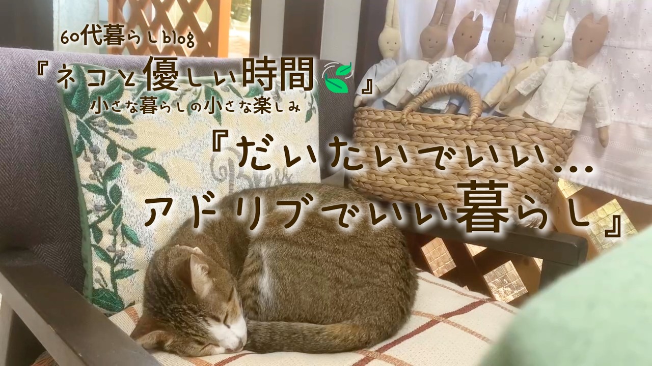 【 58🍃】『ネコと優しい時間🍃』だいたいでいい…アドリブでいい暮らし／模様替えで窓辺で珈琲タイム／豆のスープ