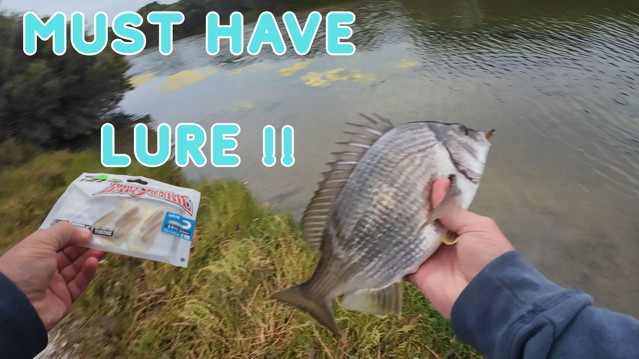 FISHING LURE Choice in NEW LOCATIONS, ROBE BREAM FISHING