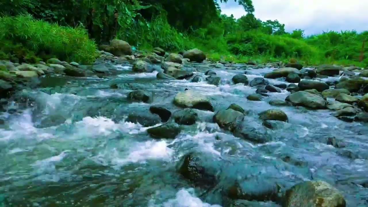 1 Hour Deep Sleep Medicine: Relaxing River Stream Sounds for Insomnia & Anxiety Relief | Nature ASMR