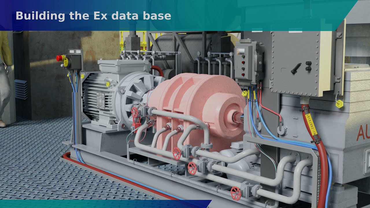 Ex inspection