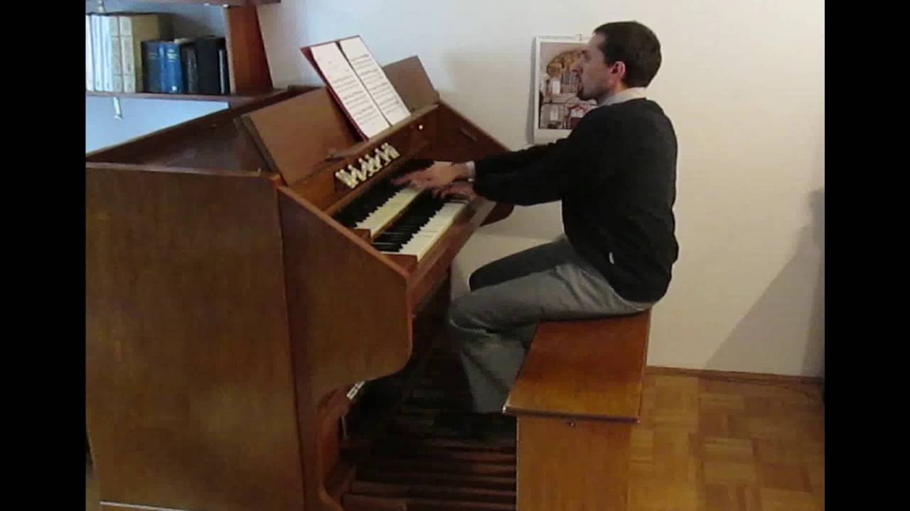J.S. Bach - Sinfonia z Kantaty BWV 156 (fisharmonia 2M+P)