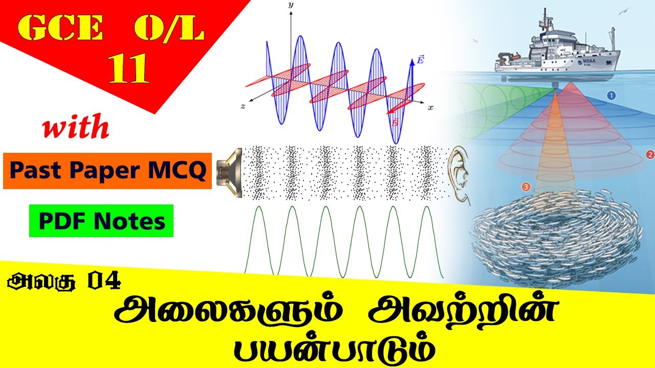 அலைகளும் பயன்பாடும் | Waves & Uses - Grade 11 Science | GCE O/L Tamil Medium