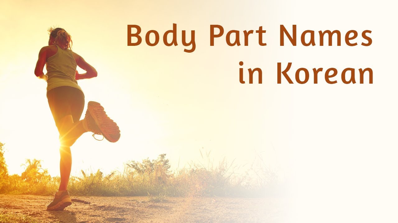 Body Part (신체부위) Names in Korean - Korean Vocabulary