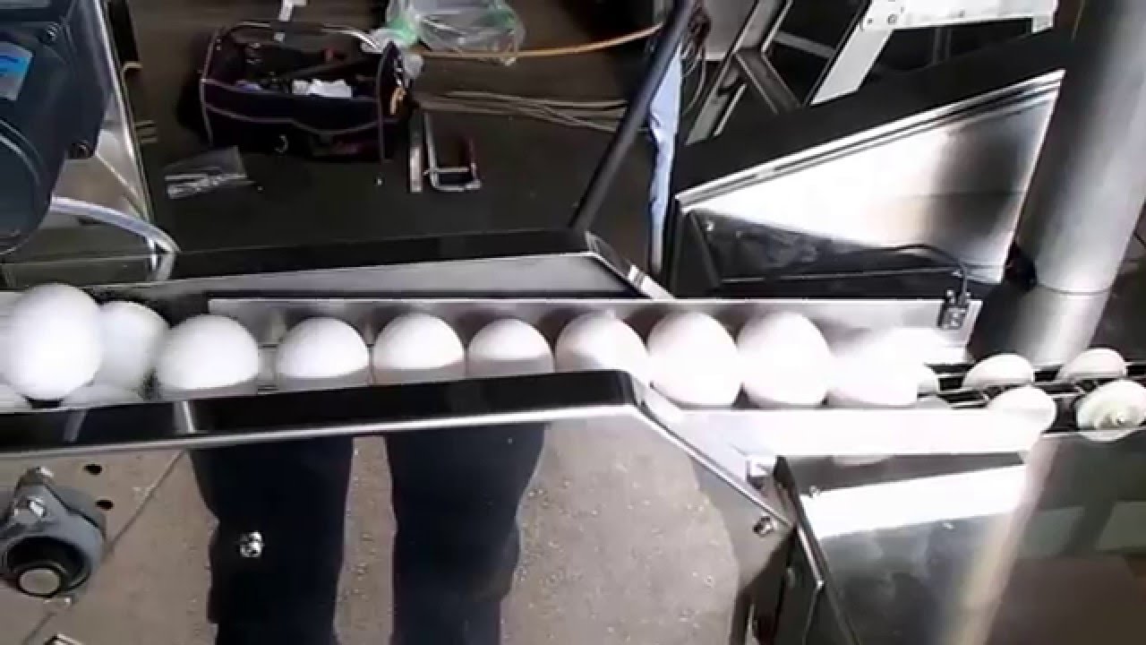 割蔵　実演テスト