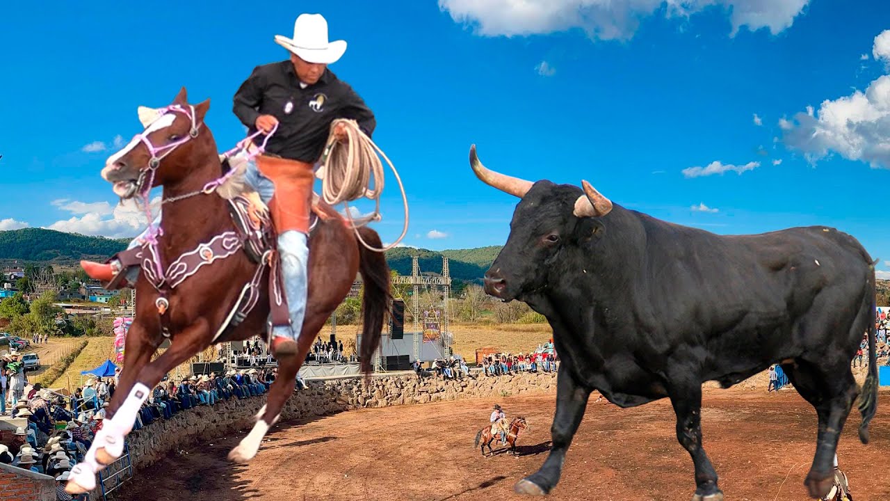 !! TOROS BRAVOS BUSCA CABALLOS ¡¡ JARIPEO EN LA LUZ VILLA MORELOS MICHOACAN 15 DE DICIEMBRE DEL 2025