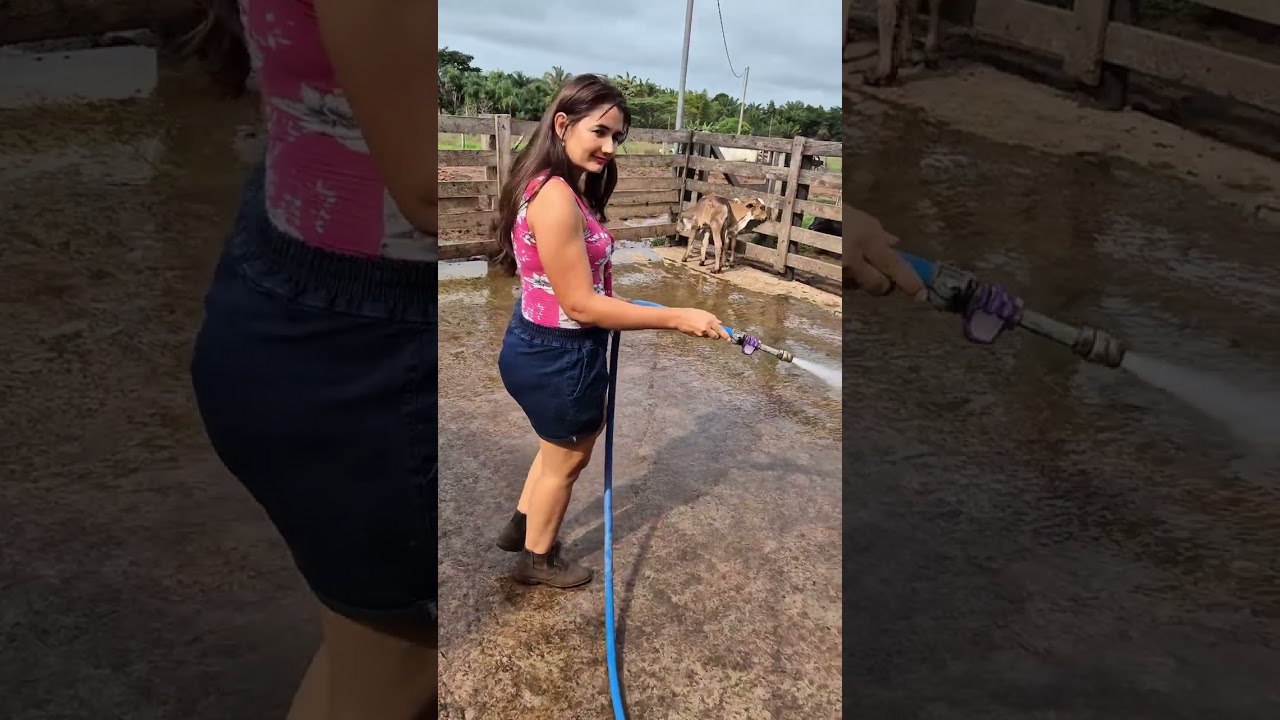 Satisfying Cow Farm Cleaning with Water Hose | Farm Life Daily Routine #villagelife  #farming