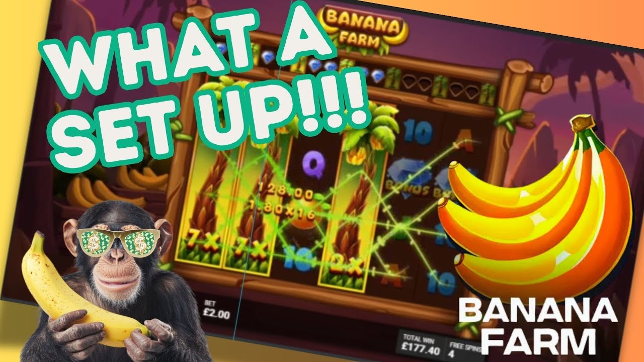 Super Buys on Banana Farm!! Last buy save?? 